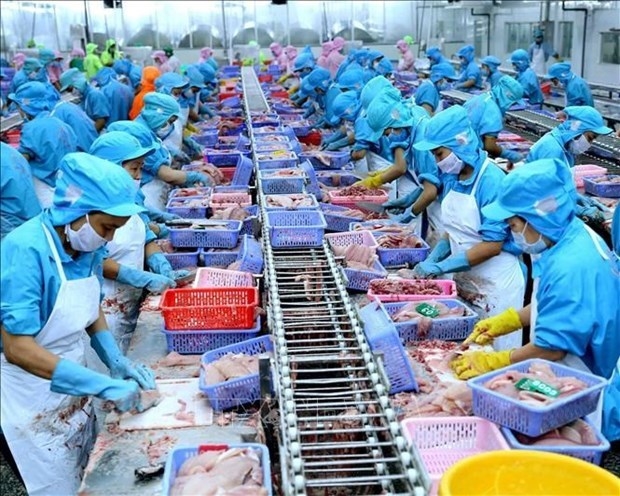Seafood exports expected to reach 3 billion USD in Q3
