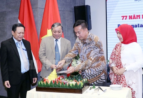 Vietnam - Indonesia multilateral cooperation comprehensively consolidated and developed