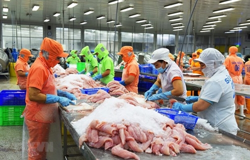 Mexico becomes the 3rd largest tra fish export market of Vietnam