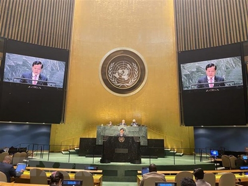 Vietnam contributes to enhancing NPT’s role in global security