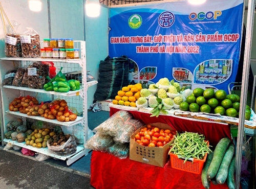 Hanoi promotes linkage to consume fruits and agricultural products