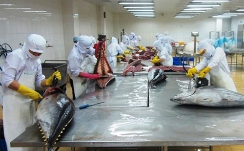 Vietnam’s tuna exports to reach US 1 billion in 2022