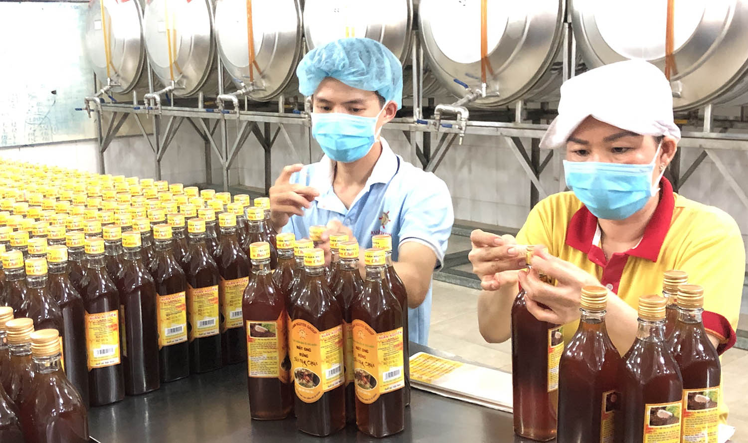 Vietnam Honey, I shrunk the bags! - VnExpress International