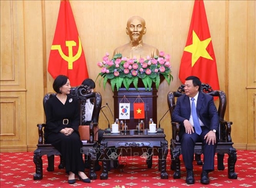 Vietnam and RoK promote cooperation in fostering leaders and managers