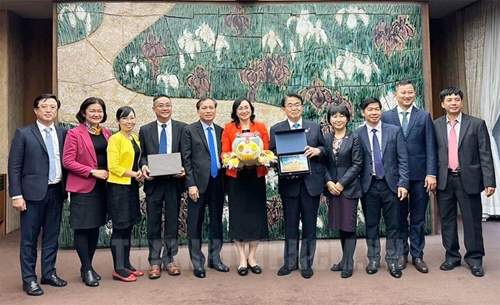 Promoting cooperation relations between Ho Chi Minh City and international localities