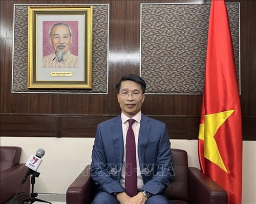 Hong Kong China firms seek more cooperation opportunities in Vietnam