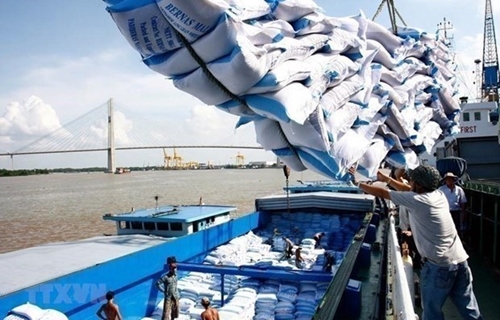 Mekong Delta rice farming contribute 90 of rice exports