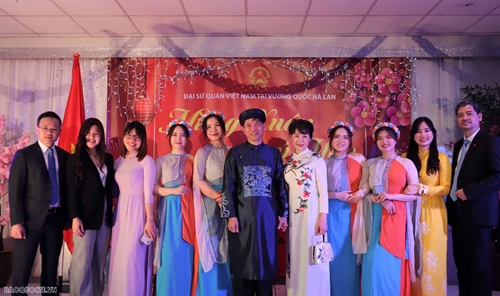 Tet festival held in Netherlands for overseas Vietnamese