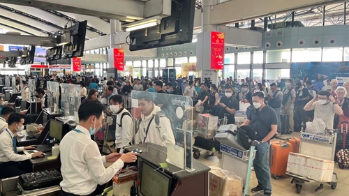 Noi Bai Airport welcomes nearly 400,000 passengers during Tet holiday