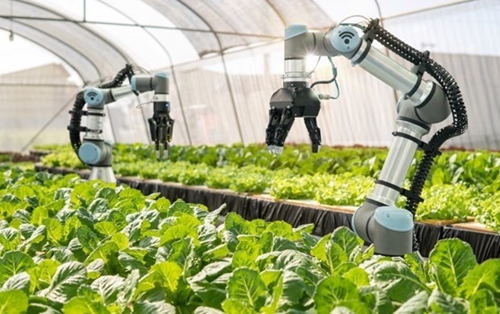 Increasing proportion of science, technology, innovation’s contribution to agricultural growth