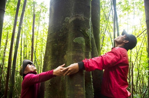 First community forest in Vietnam granted international certificate