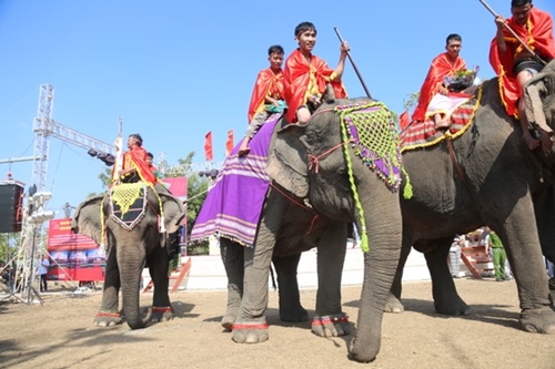 Buon Don Elephant Festival