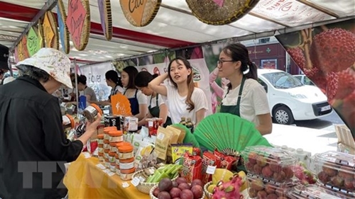 Vietnamese cuisine and culture promoted during Francophonie month in Malaysia