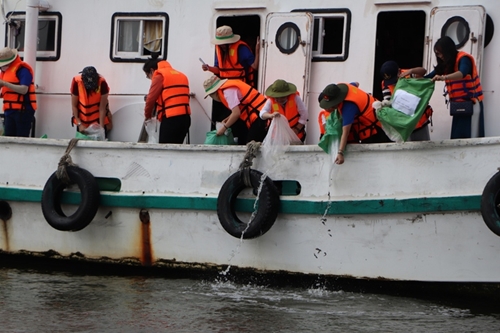 As many as 44,000 catfish and 330,000 aquatic breeds released into Saigon River