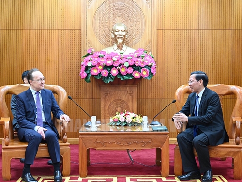 Ho Chi Minh City boosts cooperation with Russian localities