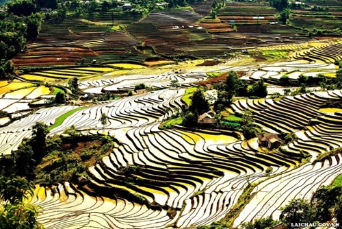 The beauty of terraced fields in the pouring water season