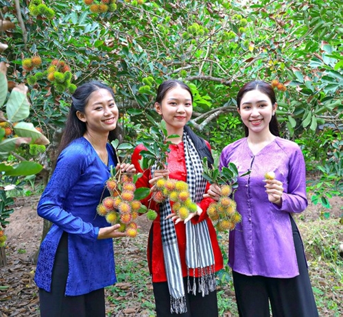 Mekong Delta in fruit harvest season