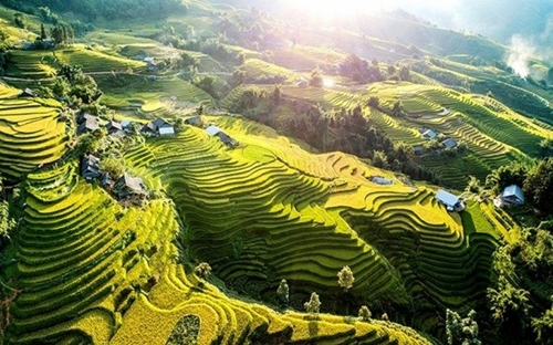 Indian Times hails beauty of terraced rice fields of Sa Pa prime