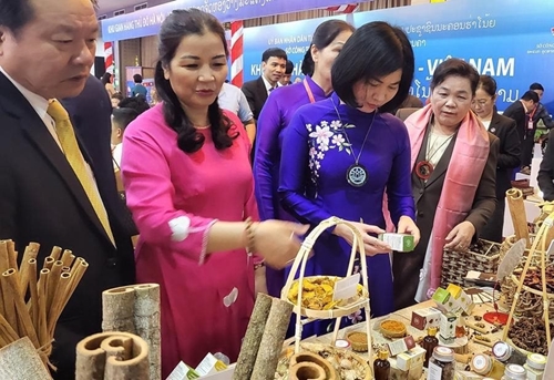 Hanoi - Vientiane strengthen exchange of experience in management of industry and commerce