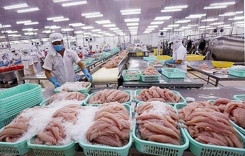 Pangasius exports to Germany see double-digit growth