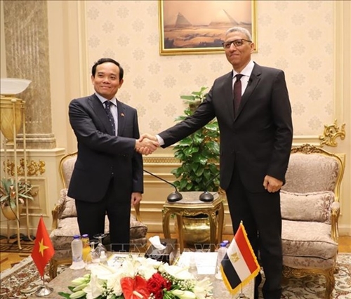 Big opportunities for Vietnam-Egypt economic, trade ties Deputy FM