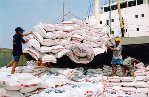 Vietnam s rice export prices reach 15-year high