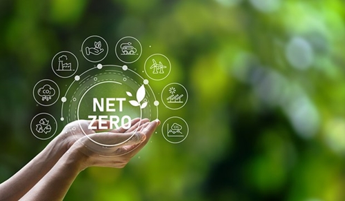 Opportunities, challenges on pathway to Net Zero experts