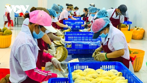 Vietnam-China trade turnover exceeds US 100 billion over eight-month period