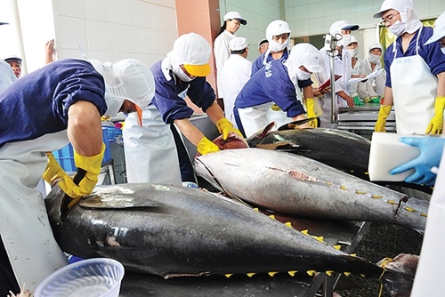 Vietnam has many opportunities to boost tuna exports to UK
