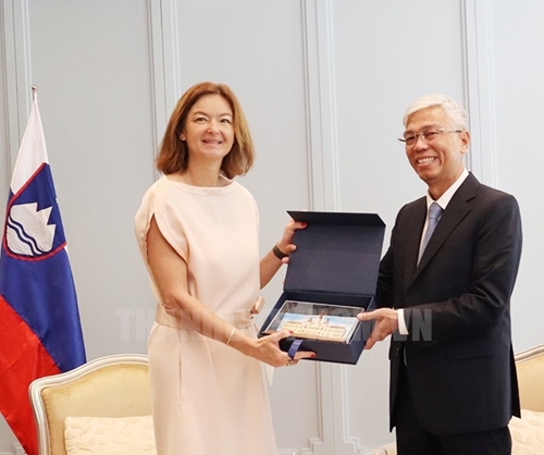 Vietnam always attaches importance to relationship with Slovenia Ho Chi Minh City’s leader