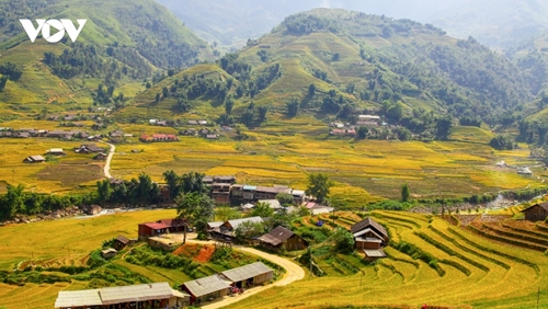Sa Pa and Can Tho listed among top 10 ideal Asian destinations to enjoy autumn