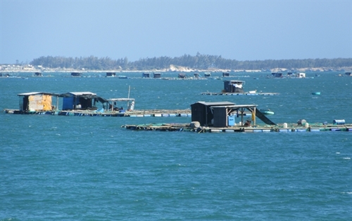 Developing sea-based aquaculture in Ninh Thuan