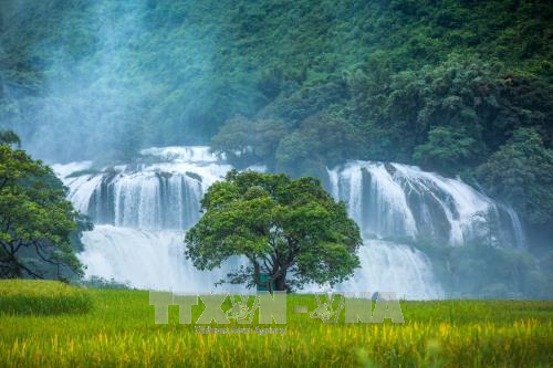 Ban Gioc Waterfall Tourism Festival 2023 opens