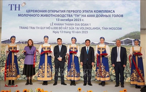 TH Group s milk cow farm project in Russia - a bright spot in bilateral cooperation