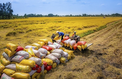 Indonesia to import additional rice from Vietnam