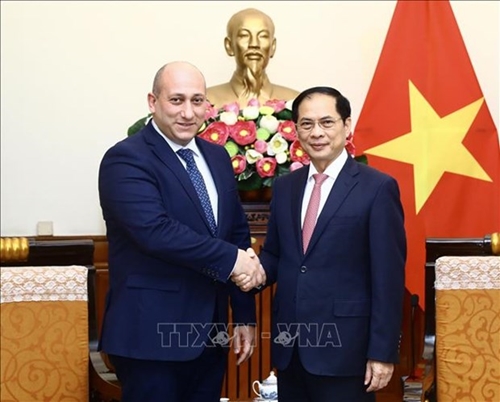 Vietnam treasures traditional friendship, cooperation with Georgia FM