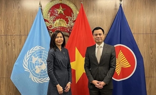 Countries see Vietnam as model in implementing SDGs UN official