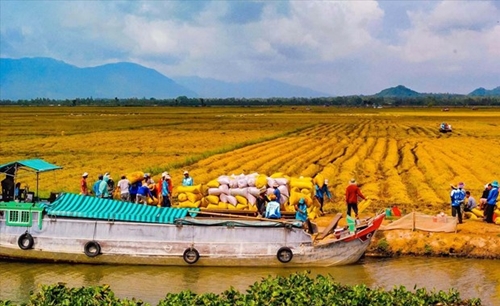Plan issued to carry out 2021-2030 Mekong Delta planning