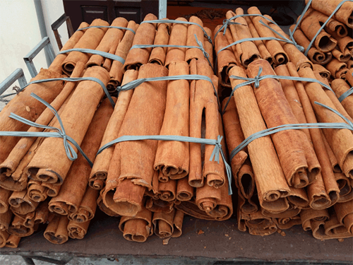 India, US are two main export markets of Vietnamese cinnamon