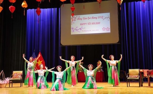 Vietnamese community in US celebrate Lunar New Year Festival