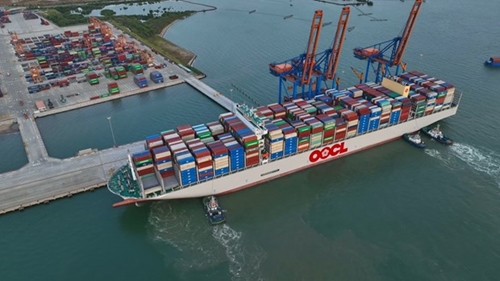 Vietnam’s export revenue reaches over 15 billion USD in first half of January