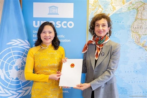 Vietnamese Ambassador presents credentials to UNESCO Director-General