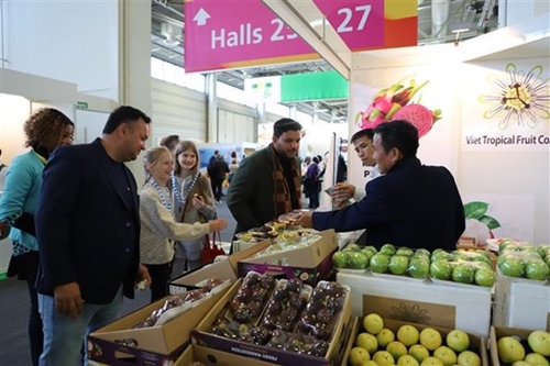 Vietnamese fruits promoted at world s largest fruit and vegetable exhibition