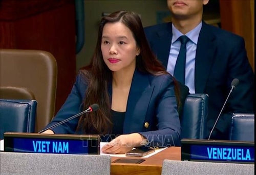 Vietnam prioritises building inclusive, equal, resilient society diplomat
