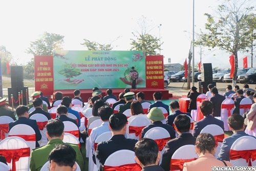 Lai Chau province launches tree planting festival