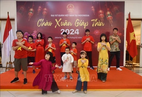 Overseas Vietnamese in Indonesia celebrate Lunar New Year Festival