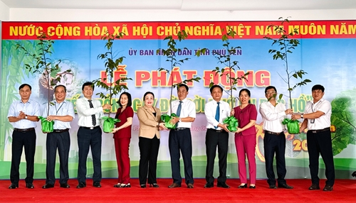 Phu Yen launches tree planting festival