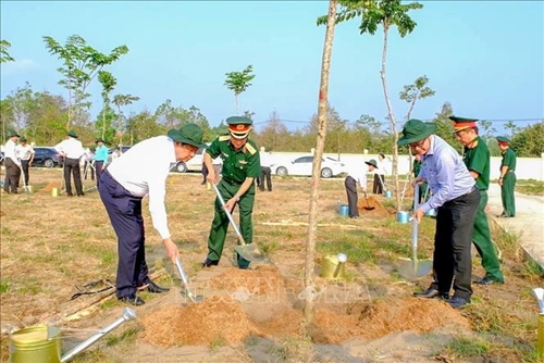Can Tho plans to plant over 1 4 million trees in 2024