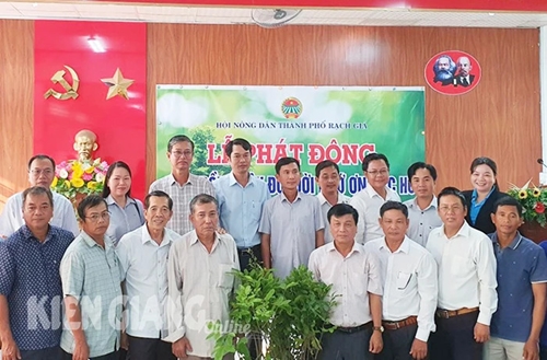Kien Giang plants 1,000 yellow apricot trees in Rach Gia City