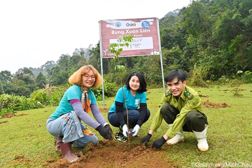 Over 25,000 trees planted in tree plantation festival